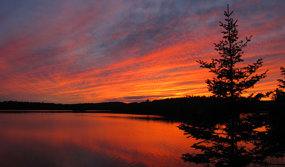 Ontario Summer Camps